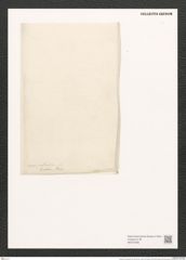 Amphora naviulacea Donk. (de-Toni-Nr.: Genus 36, Species 1652) Zeichnungen Sammlung Grunow (NHMW-BOT-W0370596)